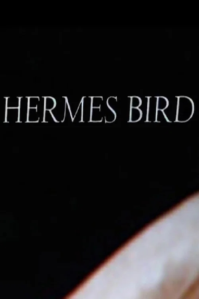Hermes Bird