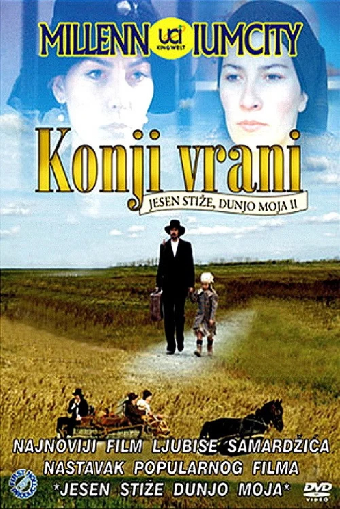 Чёрные лошади