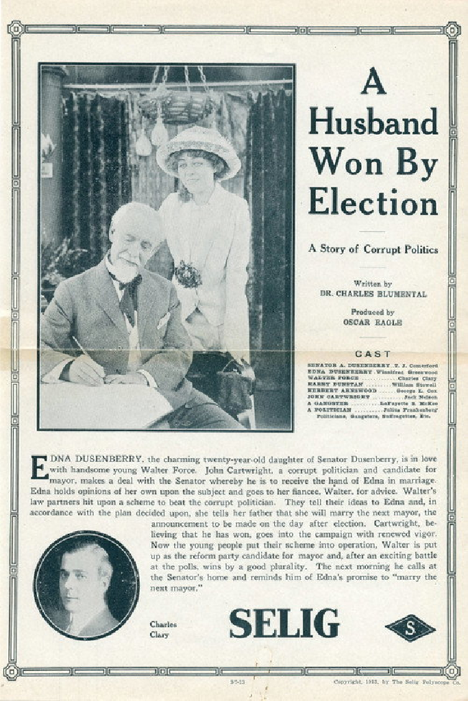 A Husband Won by Election
