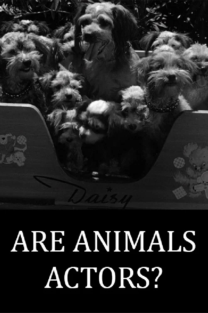 Are Animals Actors?