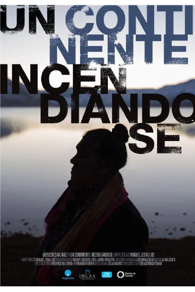Un continente incendiándose