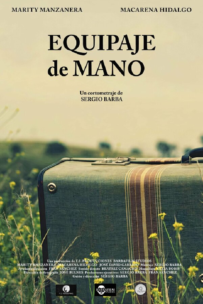 Equipaje de mano