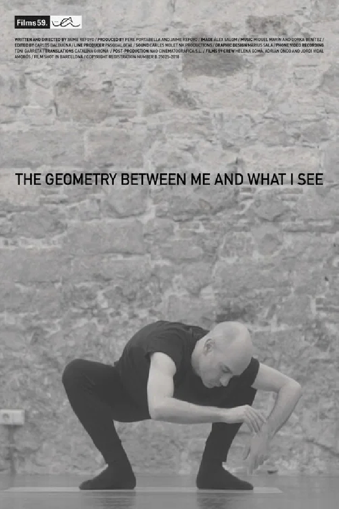 The Geometry Between Me and What I See