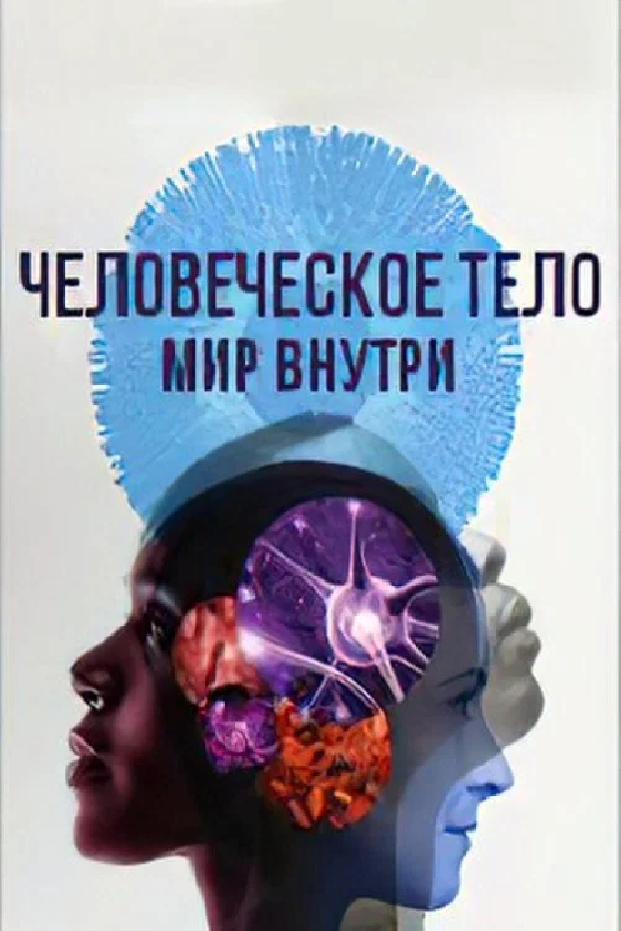 Человеческое тело: мир внутри