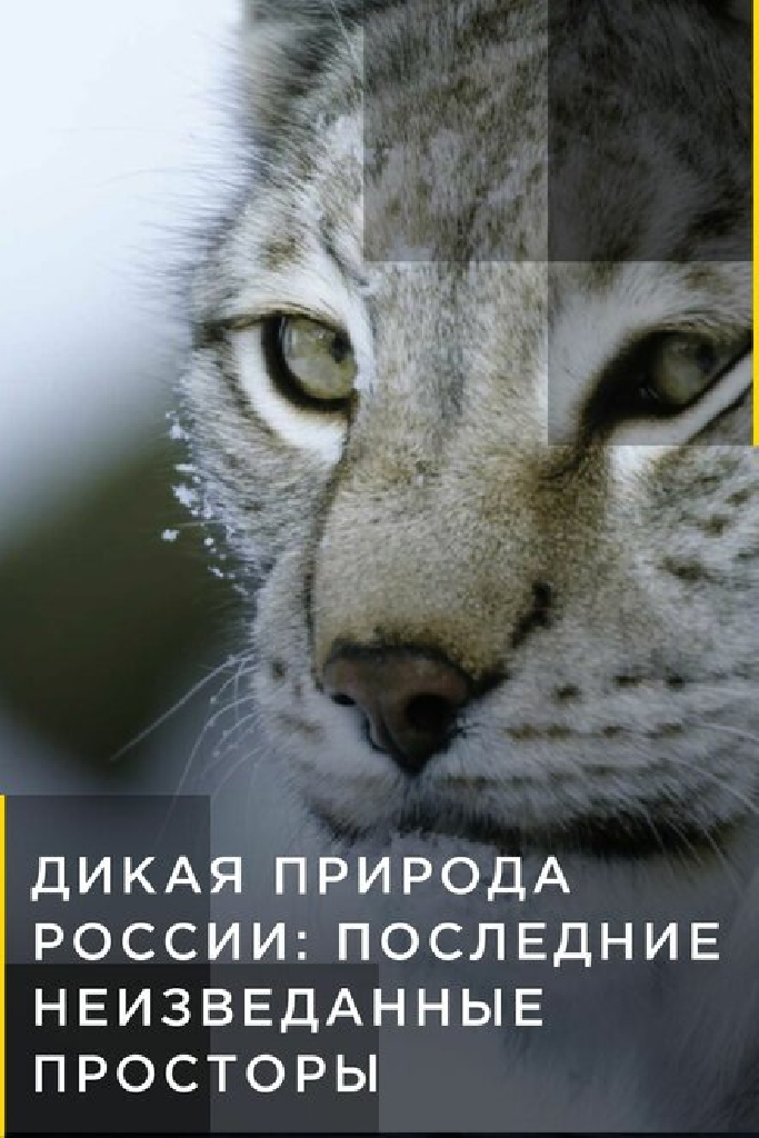 Дикая природа России: Последние неизведанные просторы