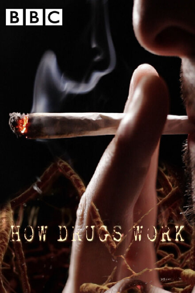 How Drugs Work