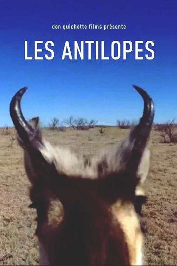 Les Antilopes