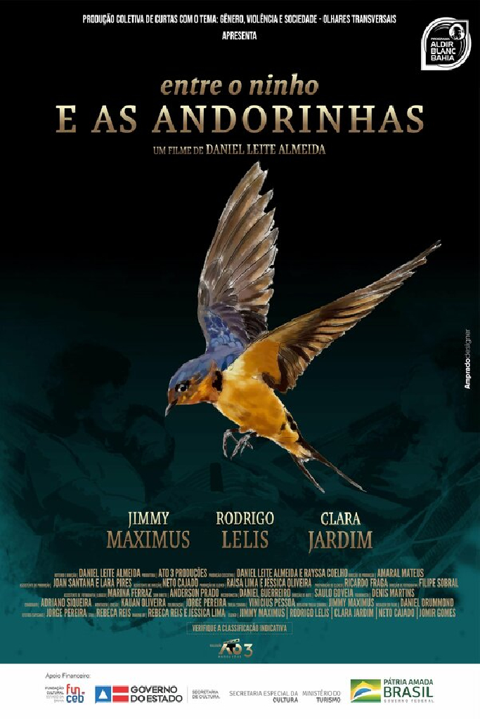 Entre o Ninho e as Andorinhas