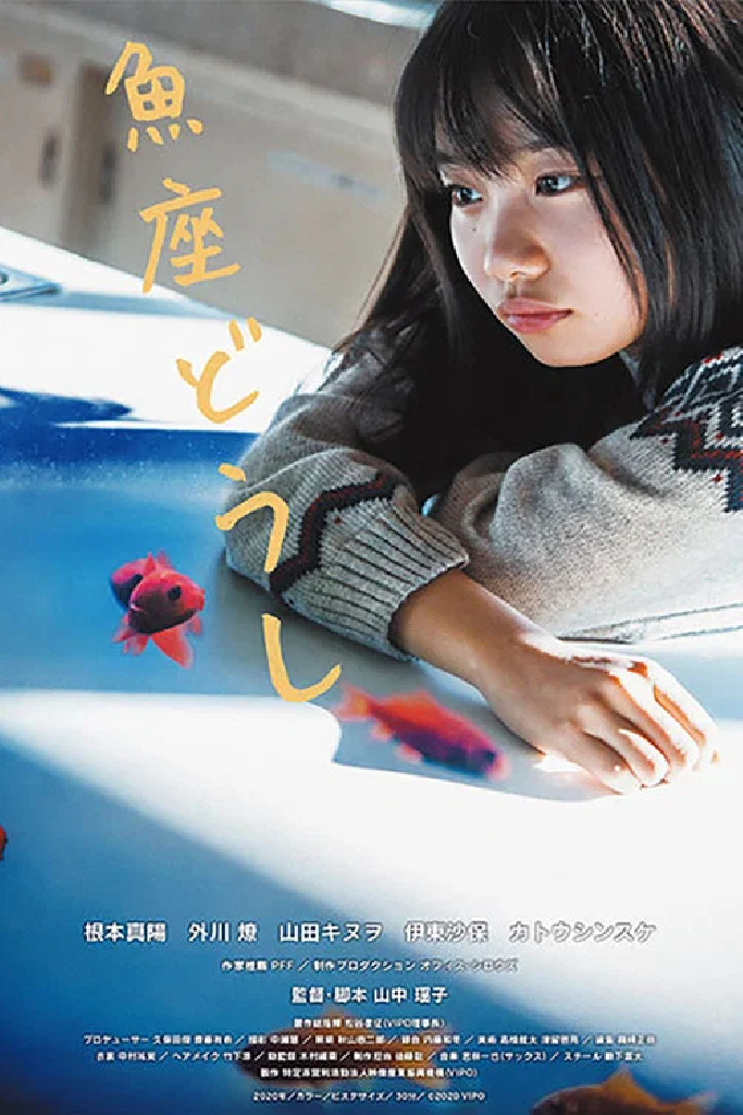 魚座どうし