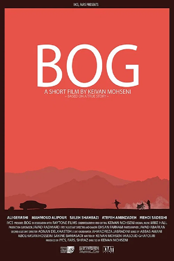 Bog