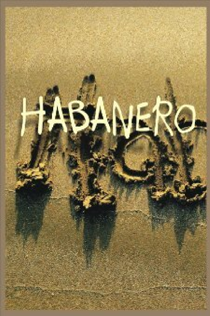 Гаванец