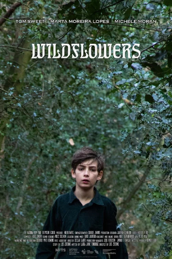 Wildflowers