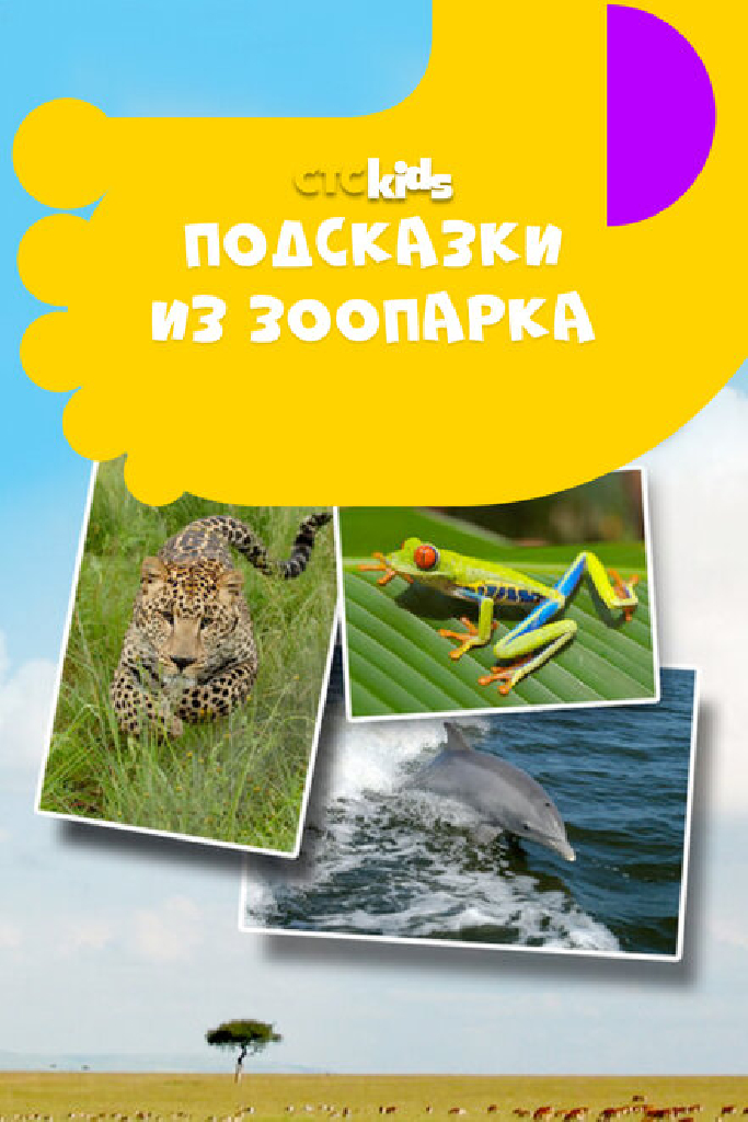 Подсказки из зоопарка