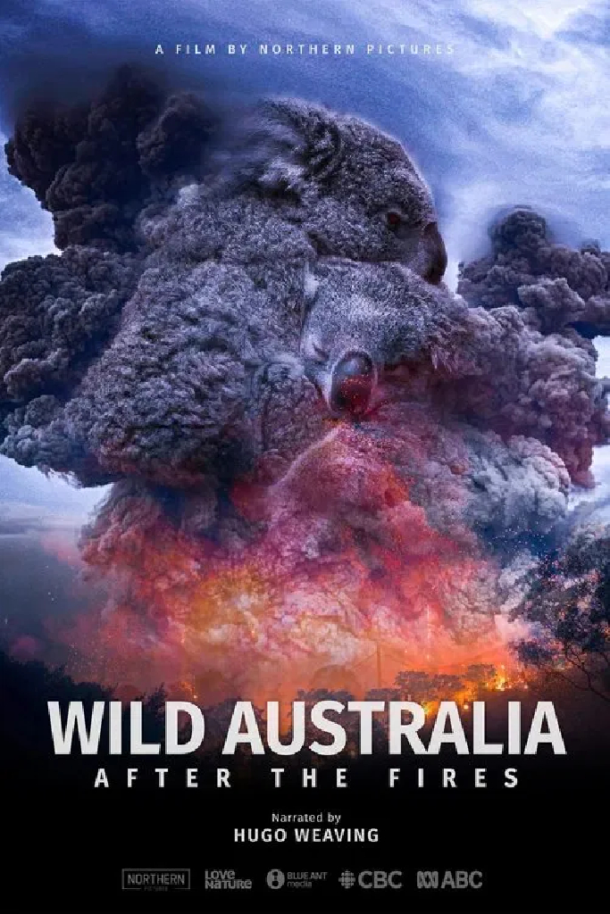 Wild Australia: After the Fires