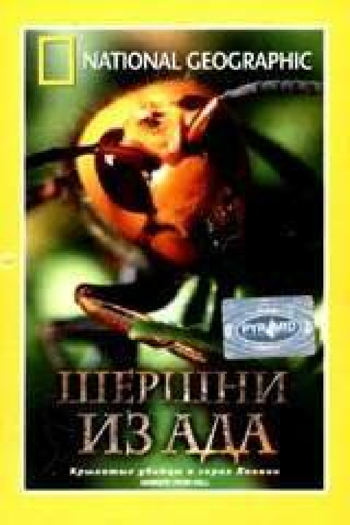 НГО: Шершни из ада
