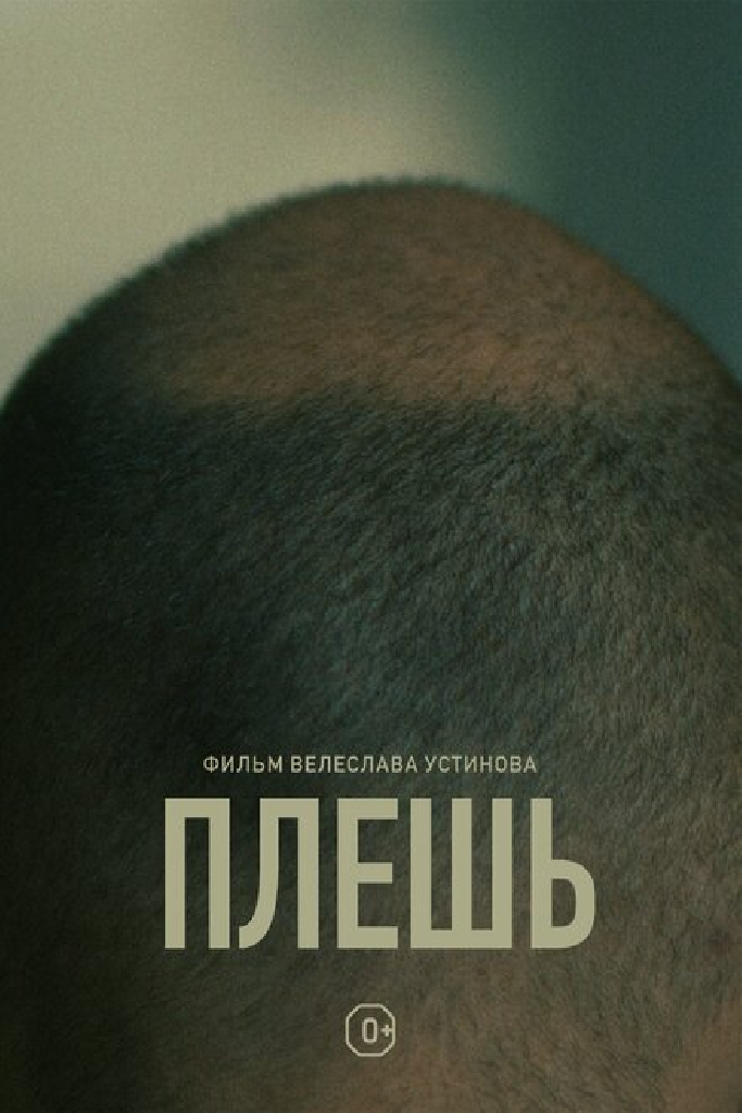 Плешь