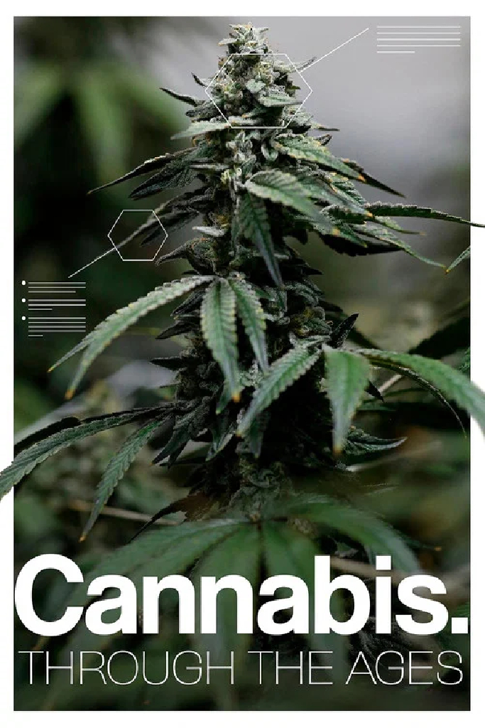 Cannabis: Through the Ages
