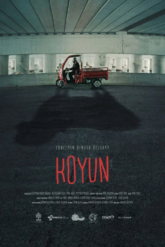 Koyun