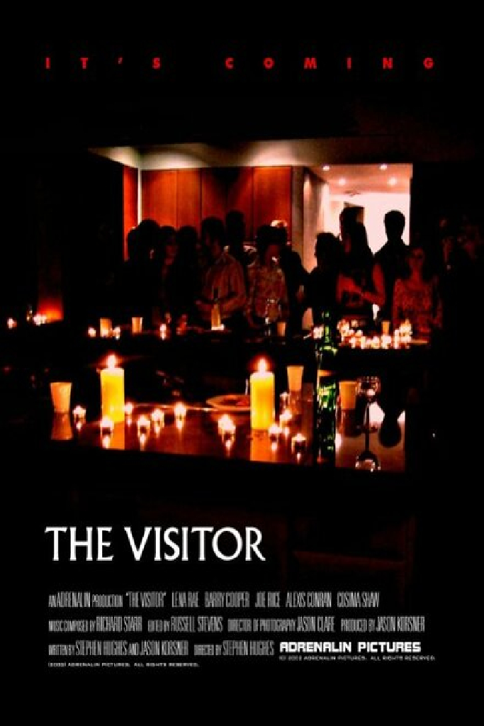 The Visitor