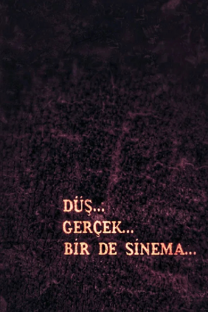 Düş, Gerçek, Bir de Sinema