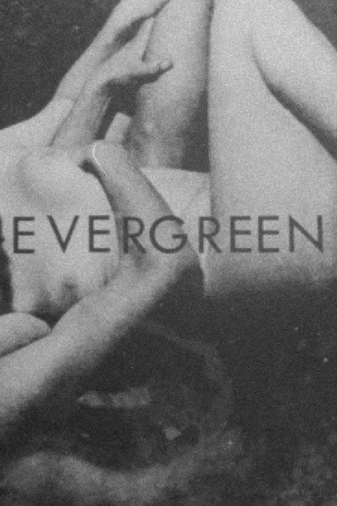 Evergreen