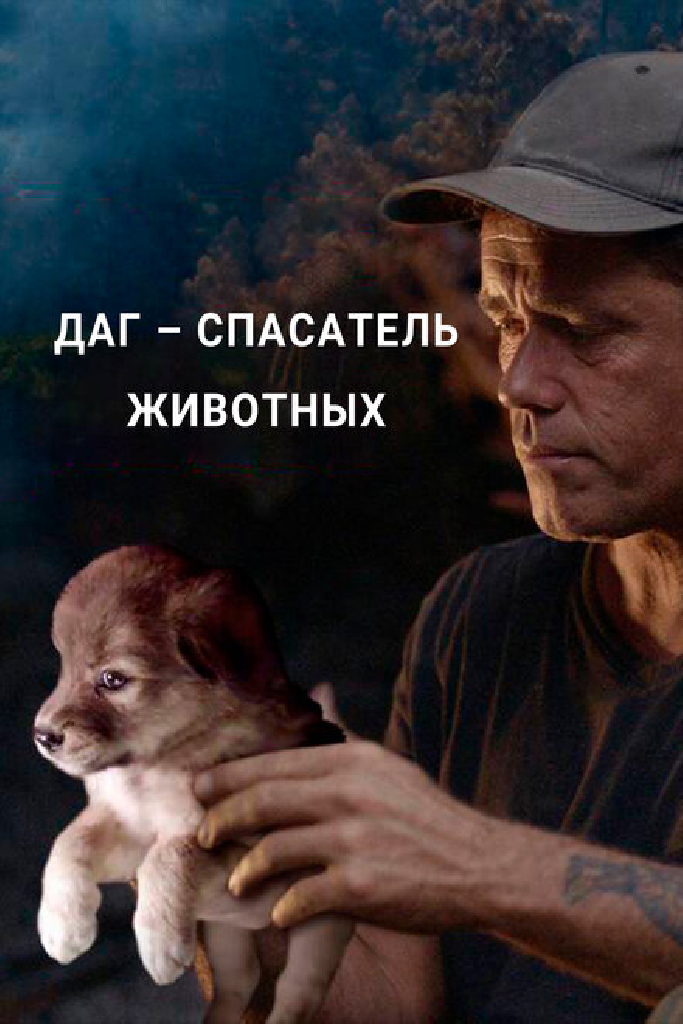Даг – спасатель животных