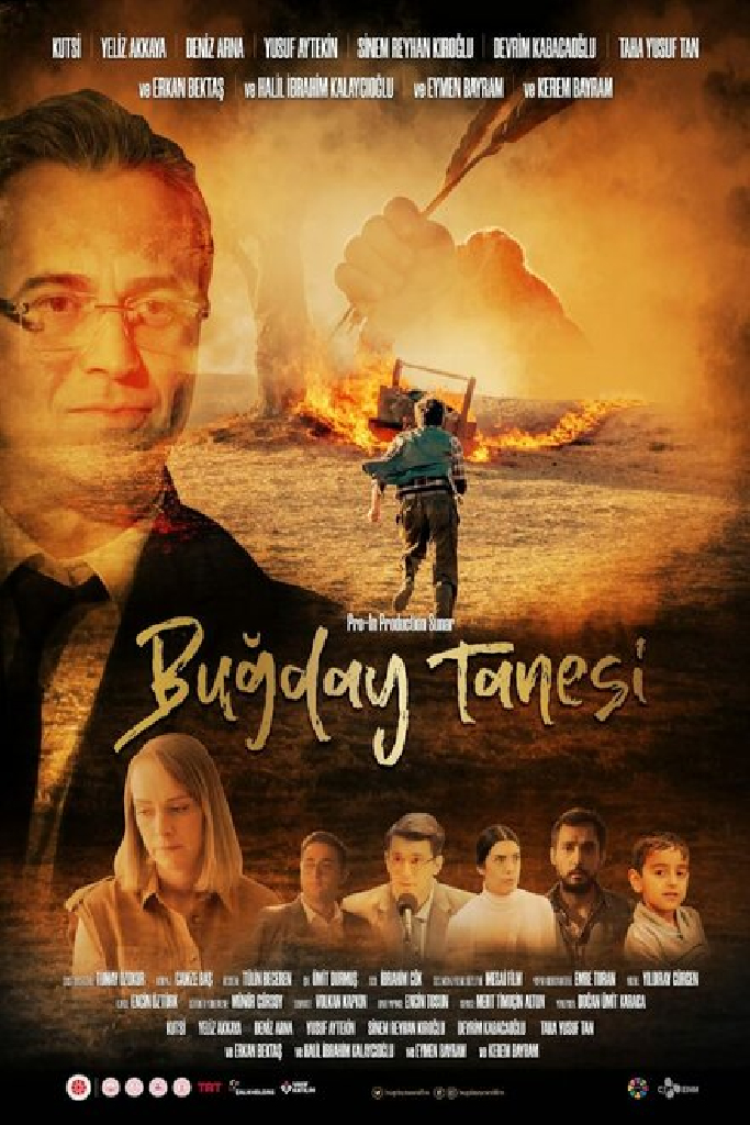 Buğday Tanesi