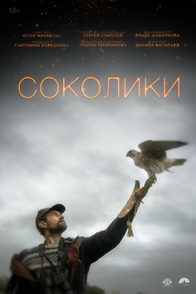 Соколики