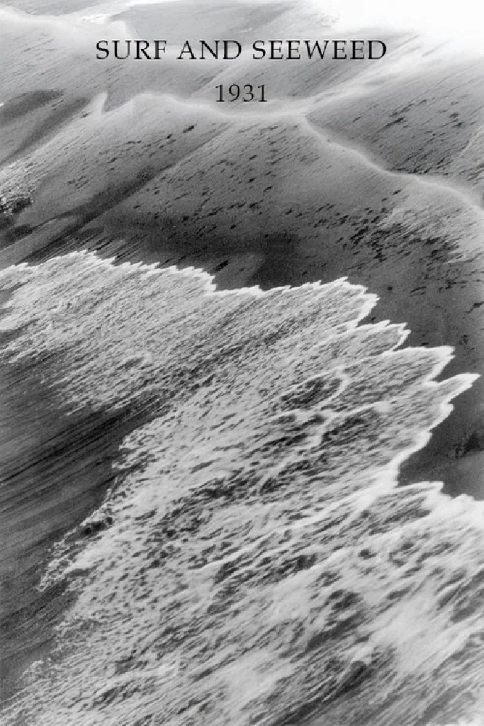 Surf and Seaweed