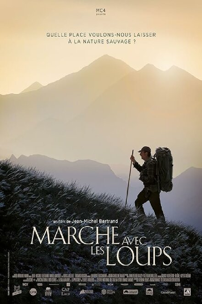 Marche avec les loups