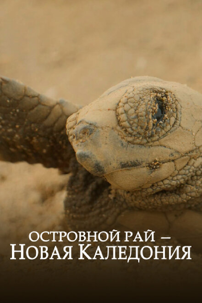 Островной рай – Новая Каледония