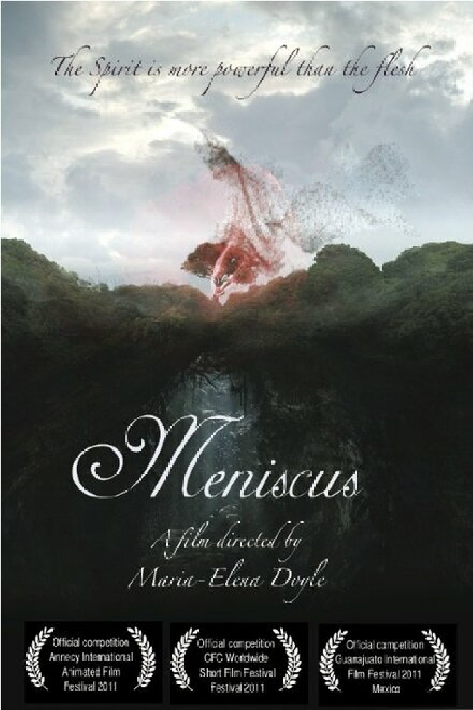 Meniscus