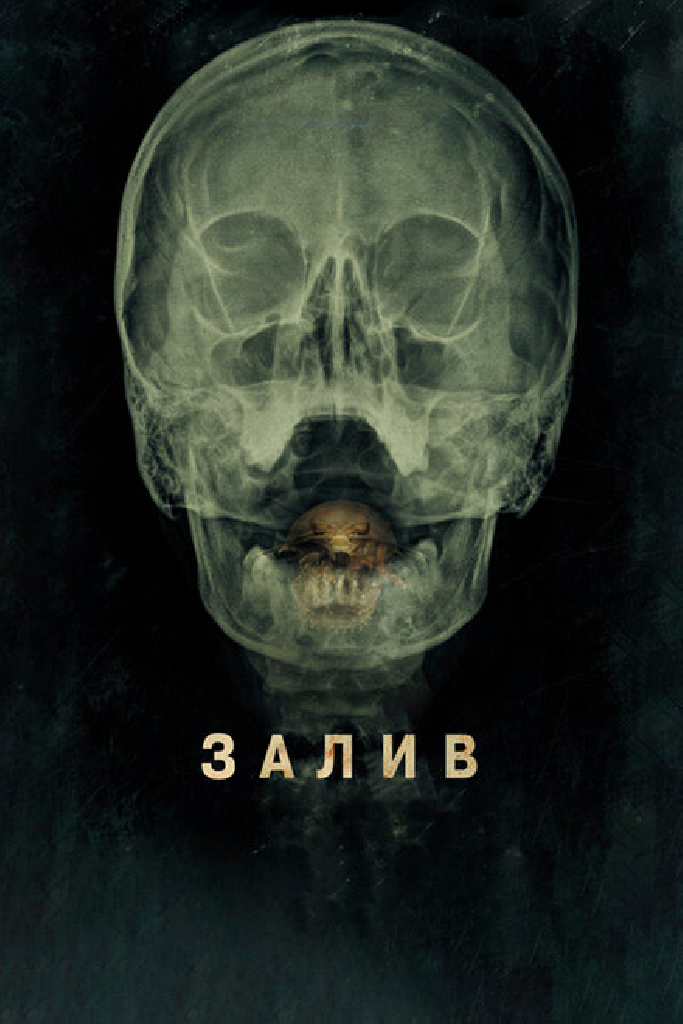 Залив