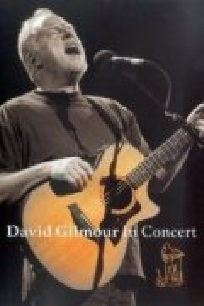 David Gilmour: In Concert
