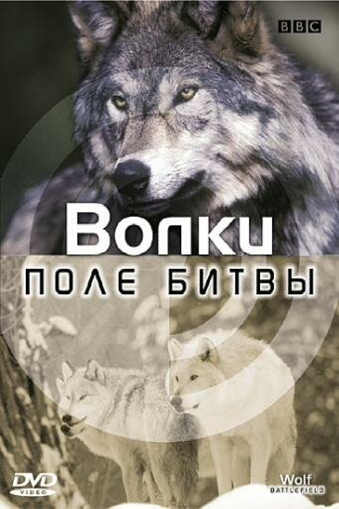 BBC: Поле битвы