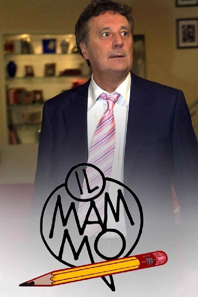 Мистер мама