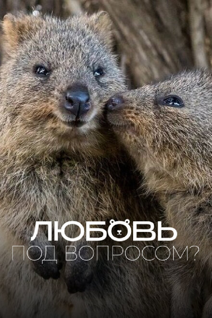 Любовь под вопросом?