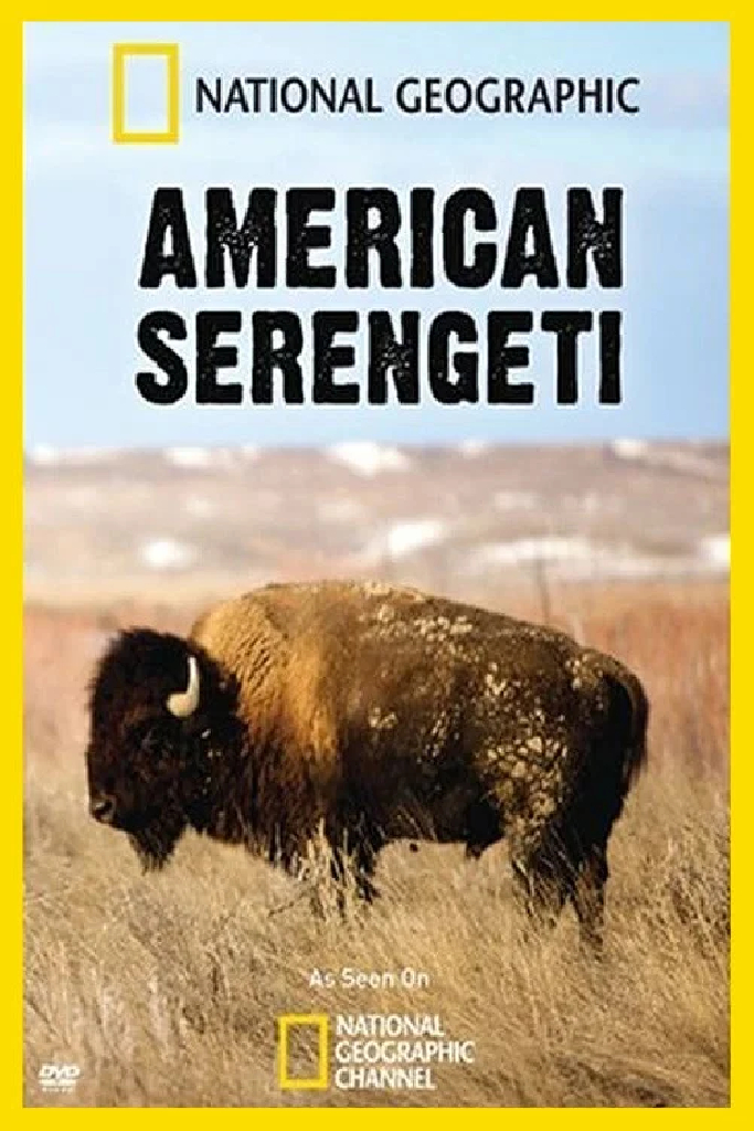 American Serengeti