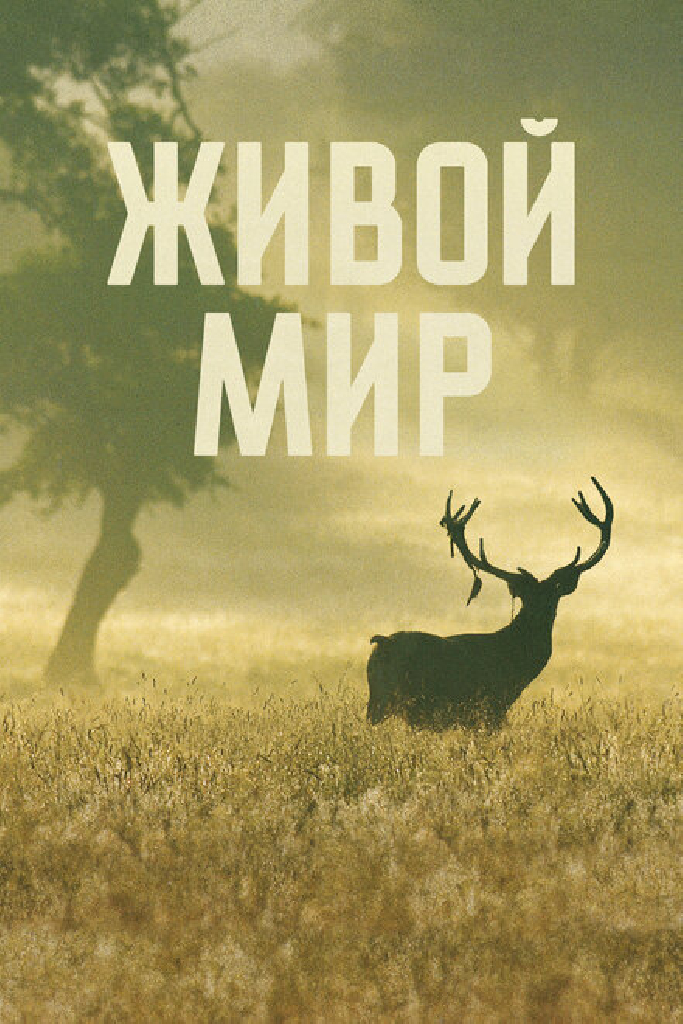 Живой мир