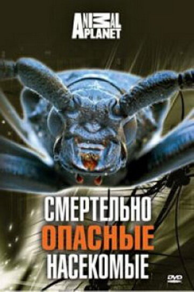Animal Planet: Смертельно опасные насекомые