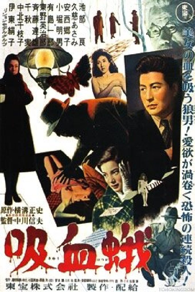 吸血蛾