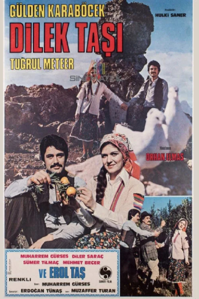 Dilek Taşı