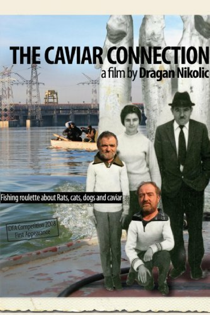 Икорная связь