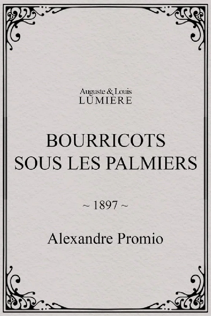 Bourricots sous les palmiers