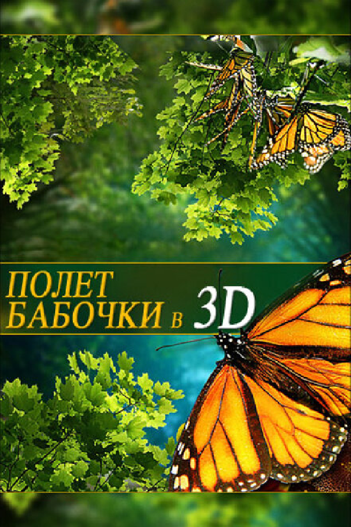 Полет бабочки 3D