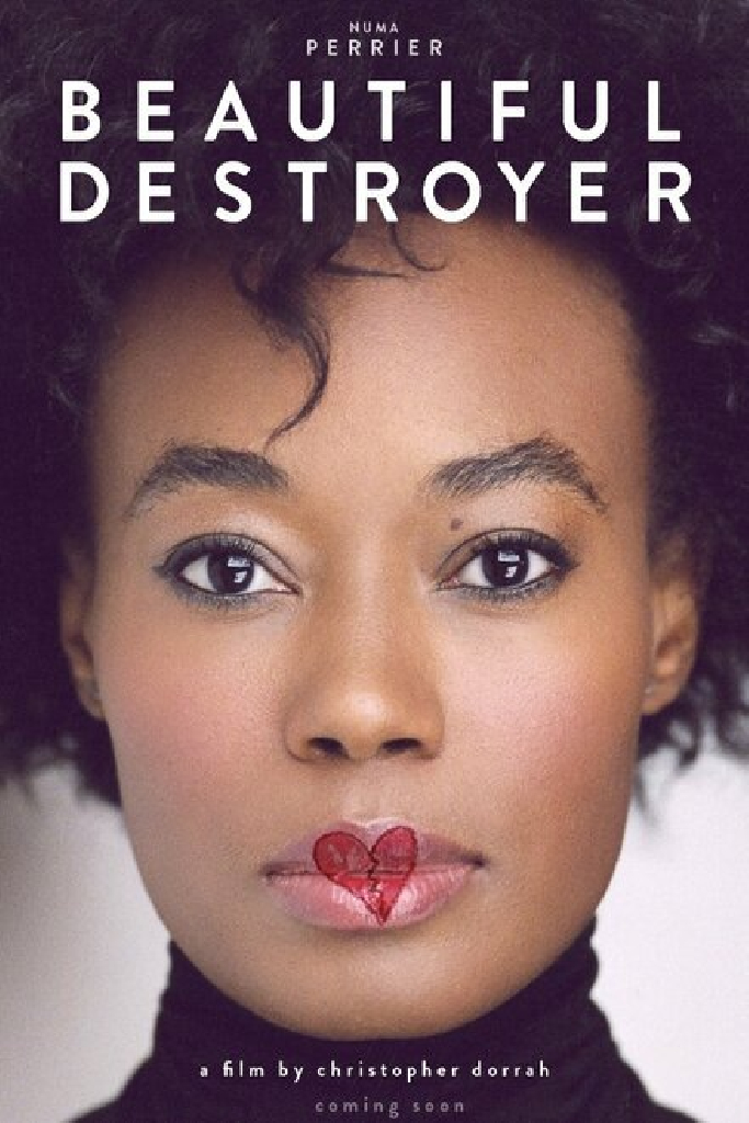 Beautiful Destroyer