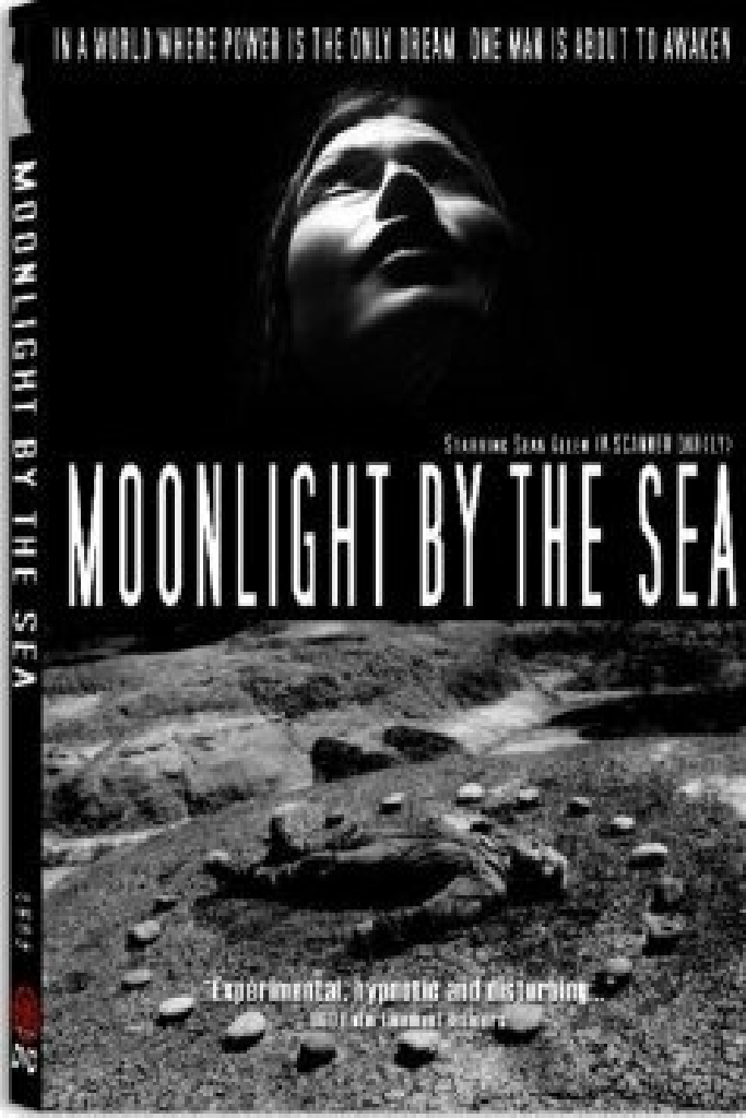 Moonlight by the Sea