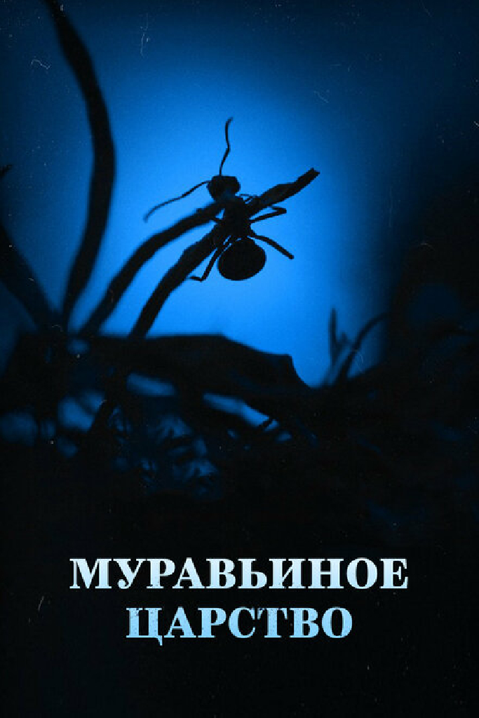 Муравьиное царство