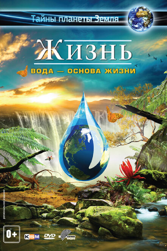 Жизнь: Вода — основа жизни