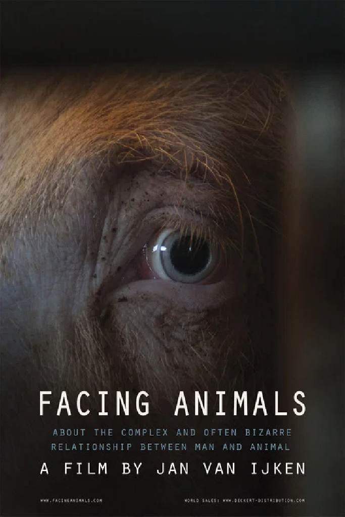 Facing Animals